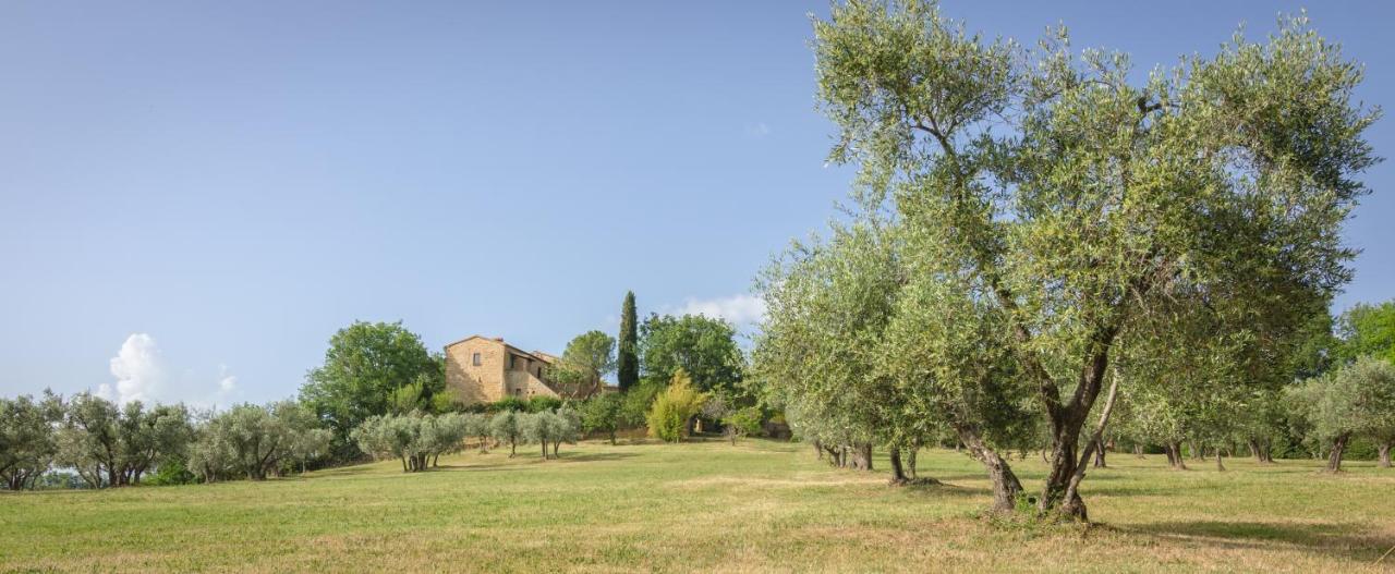 Holiday Home Arpicella Pienza Exterior foto