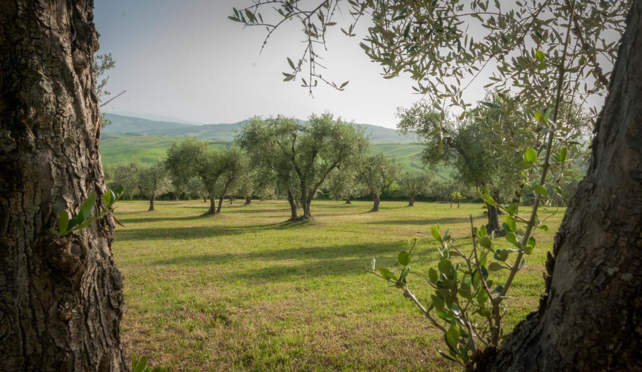 Holiday Home Arpicella Pienza Exterior foto